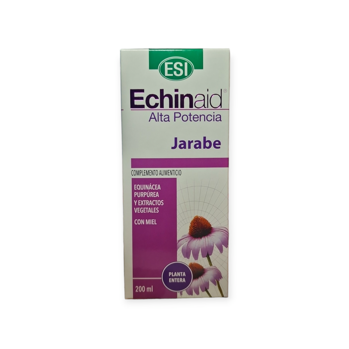 Echinaid Jarabe